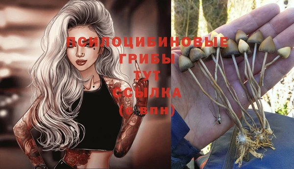 кристаллы Алексеевка