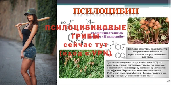 a pvp Алзамай