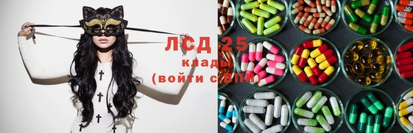 a pvp Алзамай
